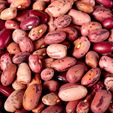 Organic Vermont Cranberry Beans - Garden Treasures Farm