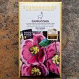 Stonegrindz Cappuccino 55-Percent Coconut Milk Chocolate Bar