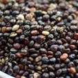 Organic Fair-Trade Black Quinoa